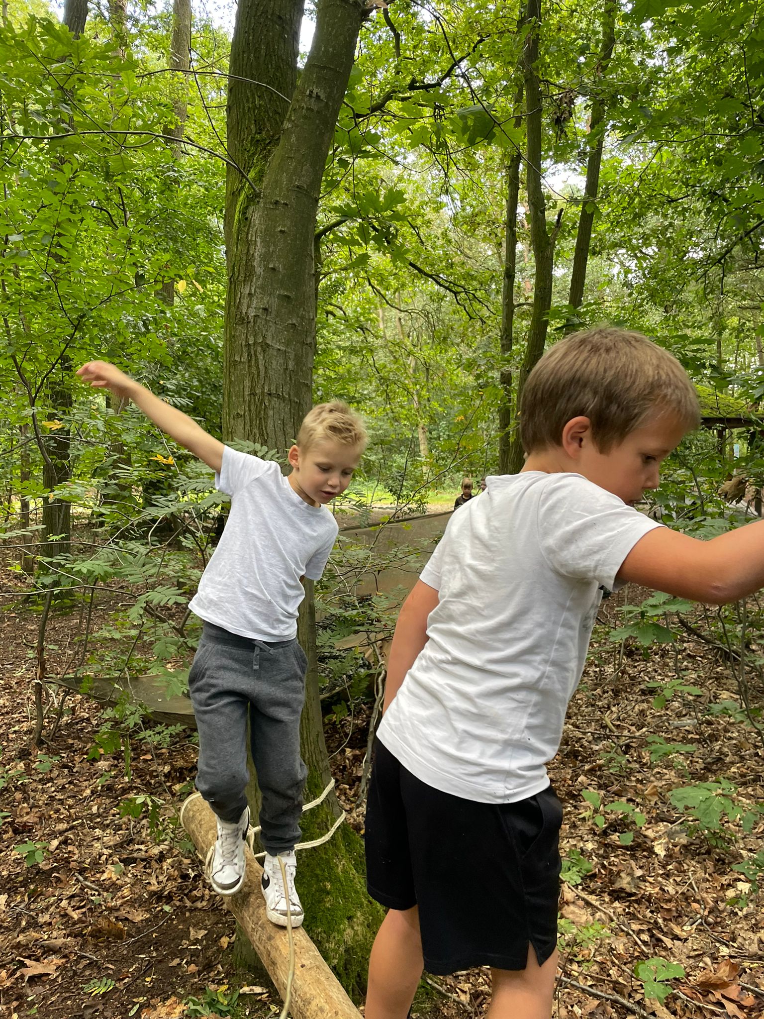 Sint-Martinus den XIIde - Opening 2024
